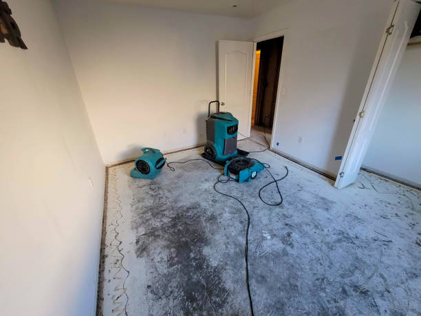 Best Basement water damage restoration  in New Johnsonville, TN