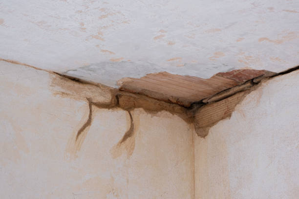 Best Fire Damage Restoration  in New Johnsonville, TN