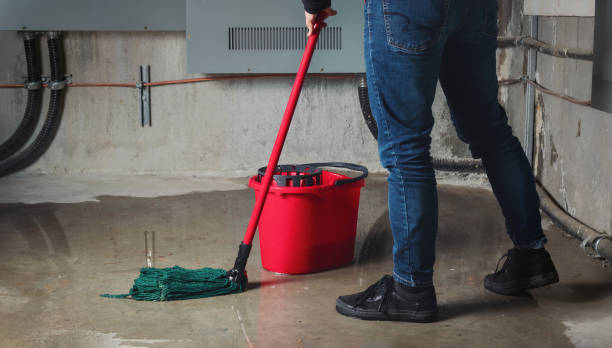 Best Water damage restoration process  in New Johnsonville, TN